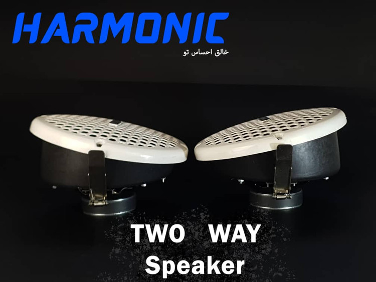 اسپیکر تحت زاویه